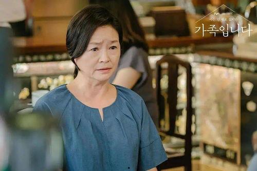 婆婆的边界,与婆婆和谐相处的智慧之道