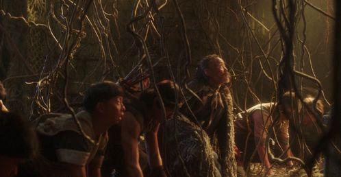 族长凶猛，我等族人务必努力,吾辈共铸辉煌